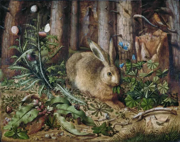 A Hare in the Forest