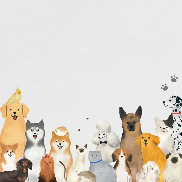 Animal Cute Pets, Aesthetic Art, Animal & Birds, Animal & Birds B