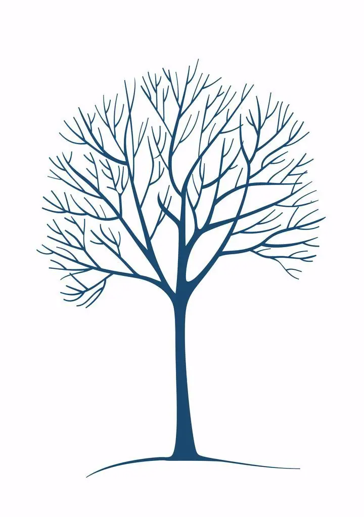 Bare Tree Silhouette