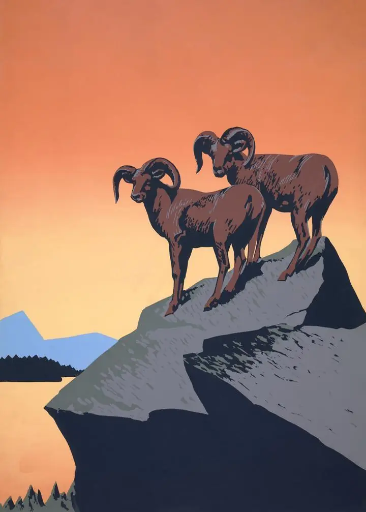 Bighorn Sheep Rocky Outcrop