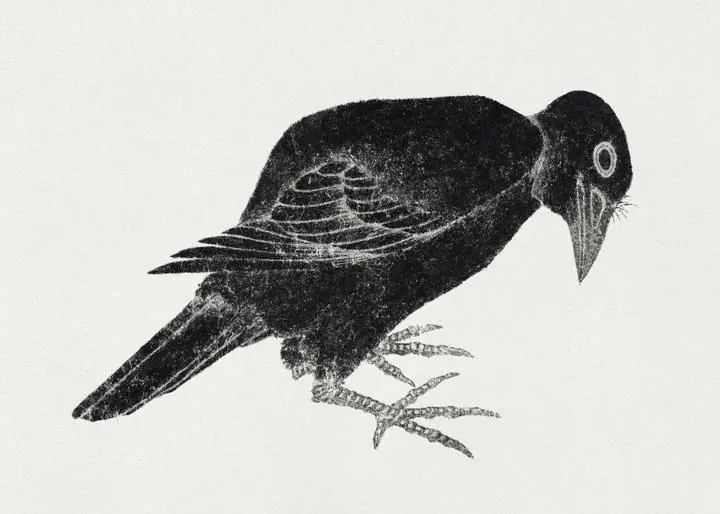 Bird Sketche, Aesthetic Art, Animal & Birds, Animal & Birds B