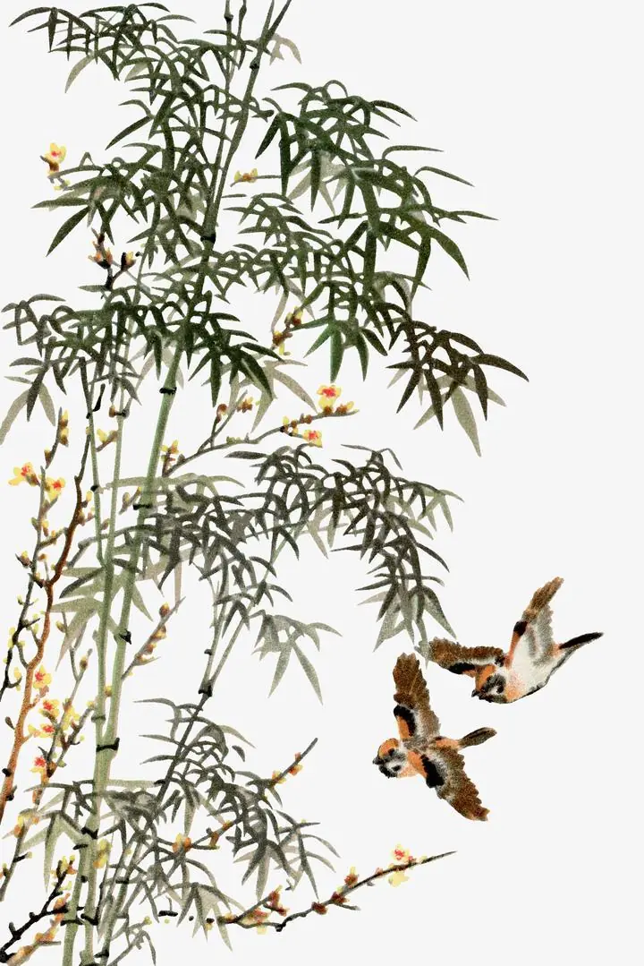 Bird- Vinta, Aesthetic Art, Animal & Birds, Animal & Birds B