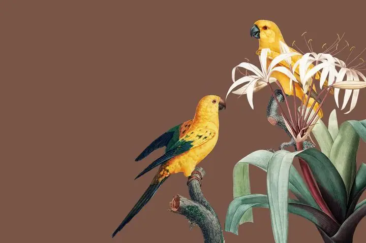 Bird Vintage, Aesthetic Art, Animal & Birds, Animal & Birds B