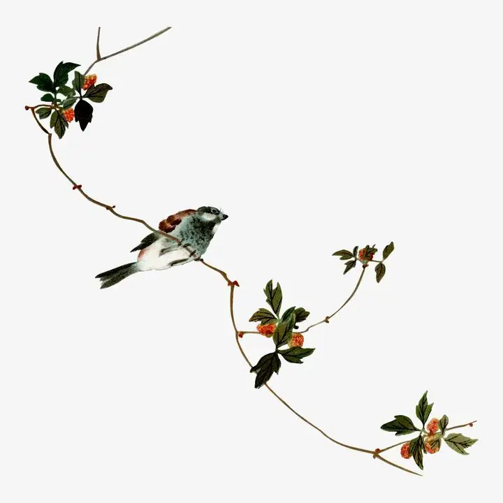 Bird- Vintage, Aesthetic Art, Animal & Birds, Animal & Birds B