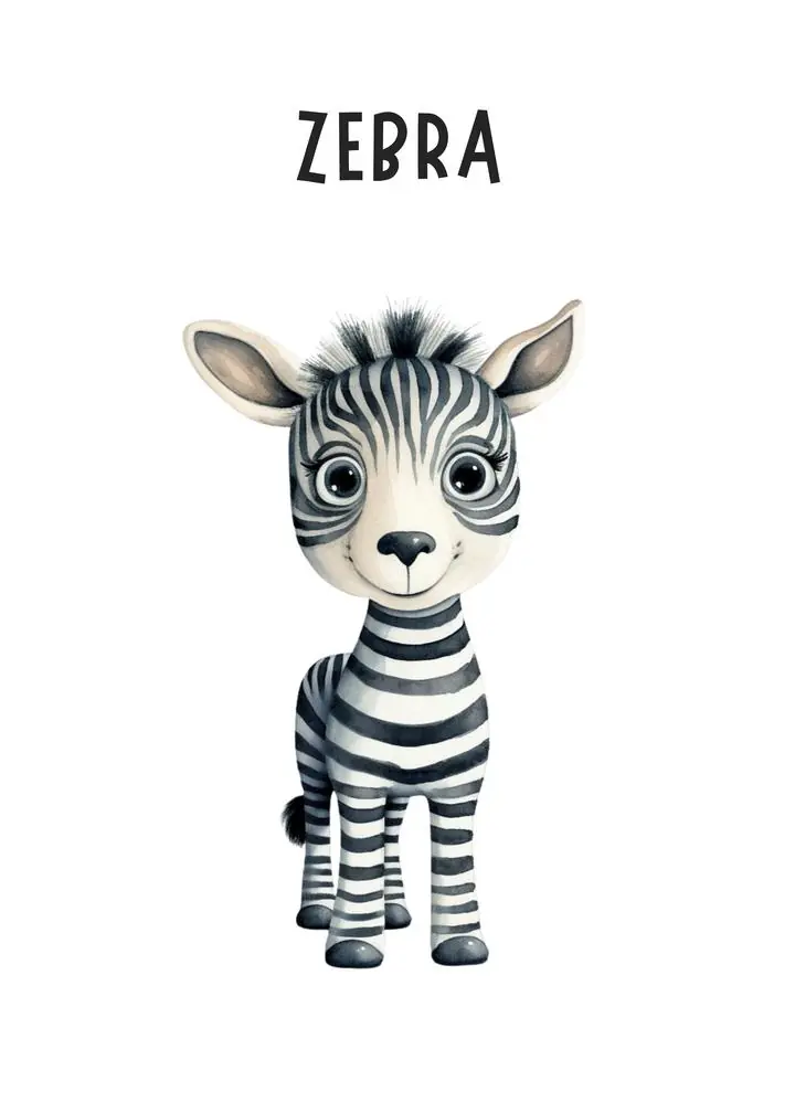 Black And White Zebra