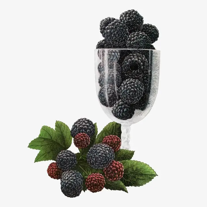 Black Berries