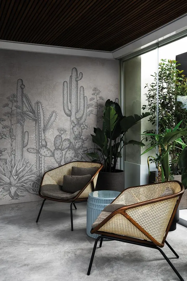 Black Cactus Plant, Wallpaper, Forest