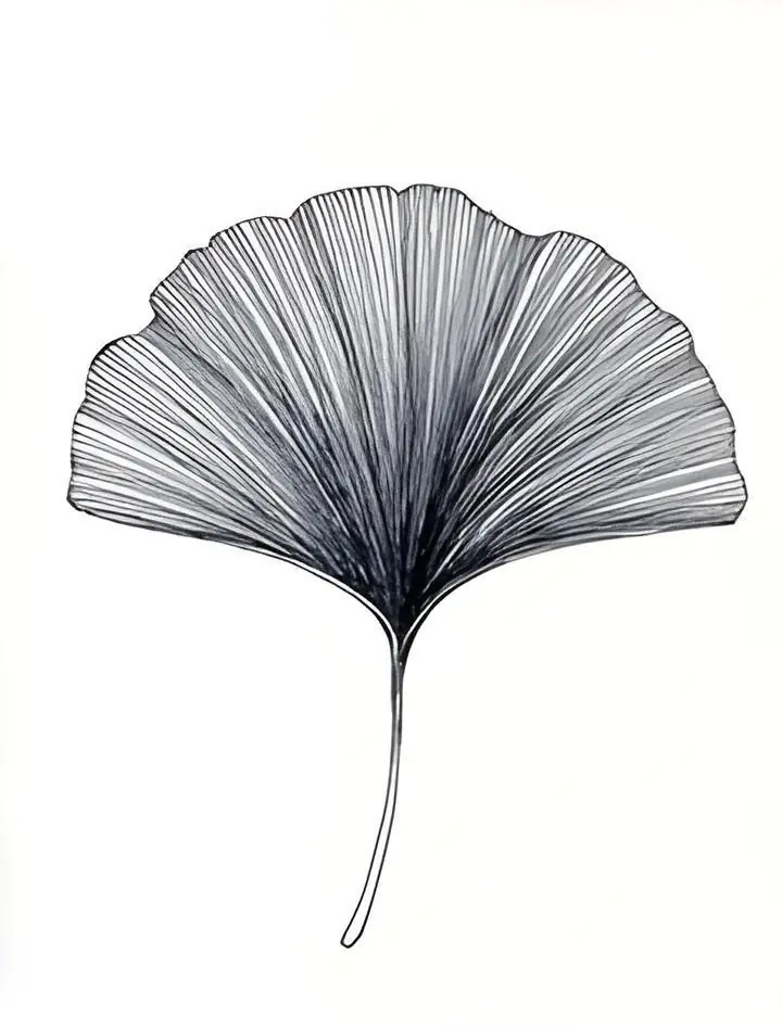 Black Ginkgo Leaf, Wall Art, Modern, Modern Monochrome