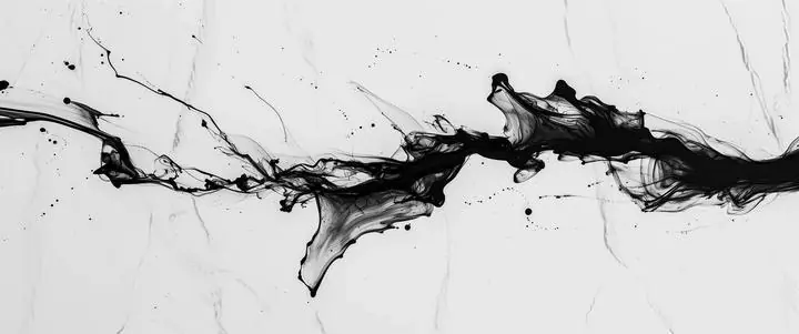 Black Ink Splatter, Wall Art, Modern, Modern Monochrome