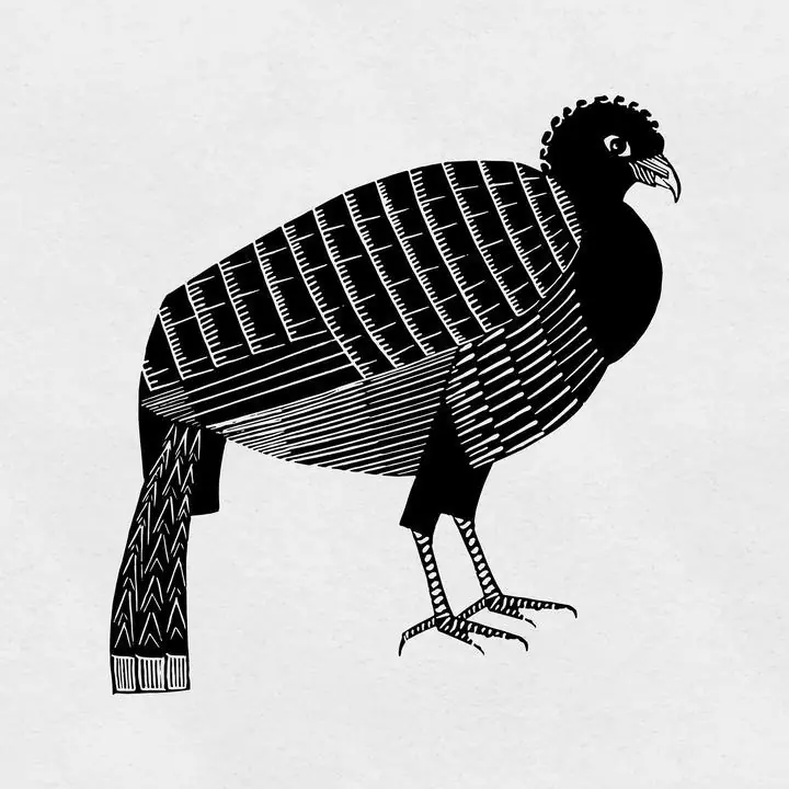 Black Bird, Aesthetic Art, Animal & Birds, Animal & Birds B