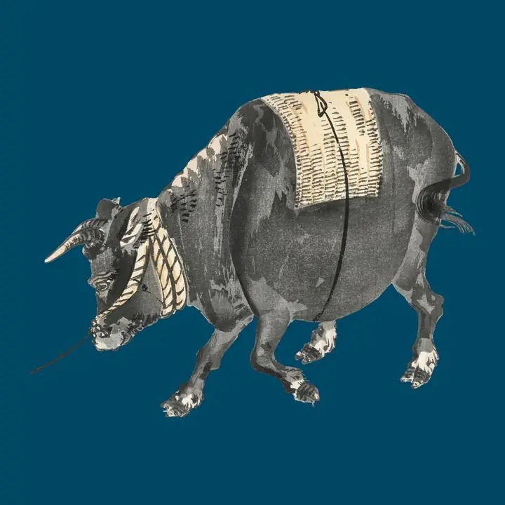 Black Bull, Aesthetic Art, Animal & Birds, Animal & Birds B