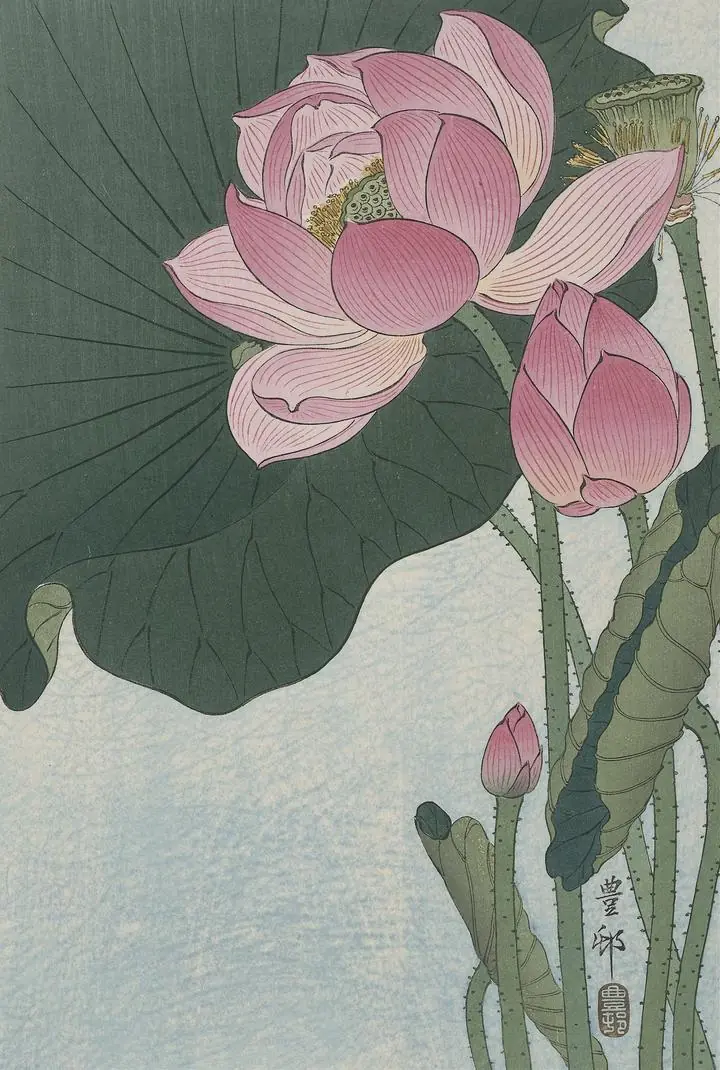 Blooming Lotus Flowers (1920-1930), Paintings, Ohara Koson