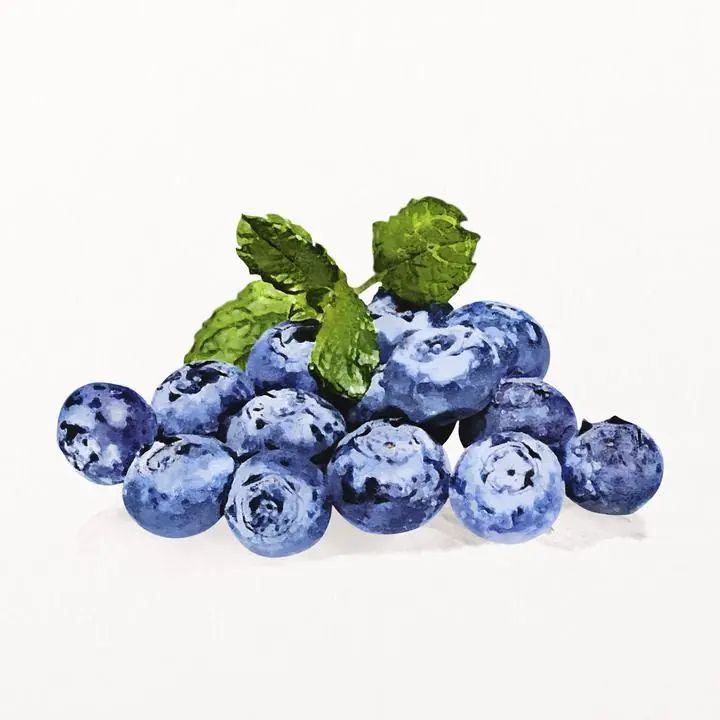 Blue Blueberries 2