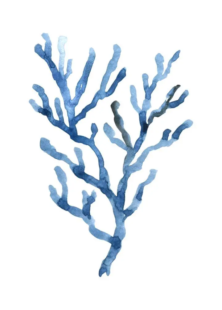 Blue Coral Branch