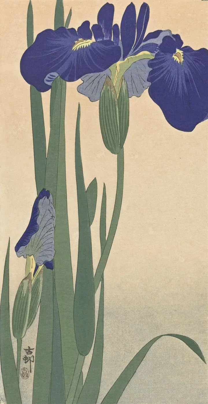 Blue Irises (1900-1930), Paintings, Ohara Koson