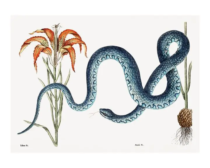 Blue Snake With Turquoise, Aesthetic Art, Animal & Birds, Animal & Birds B