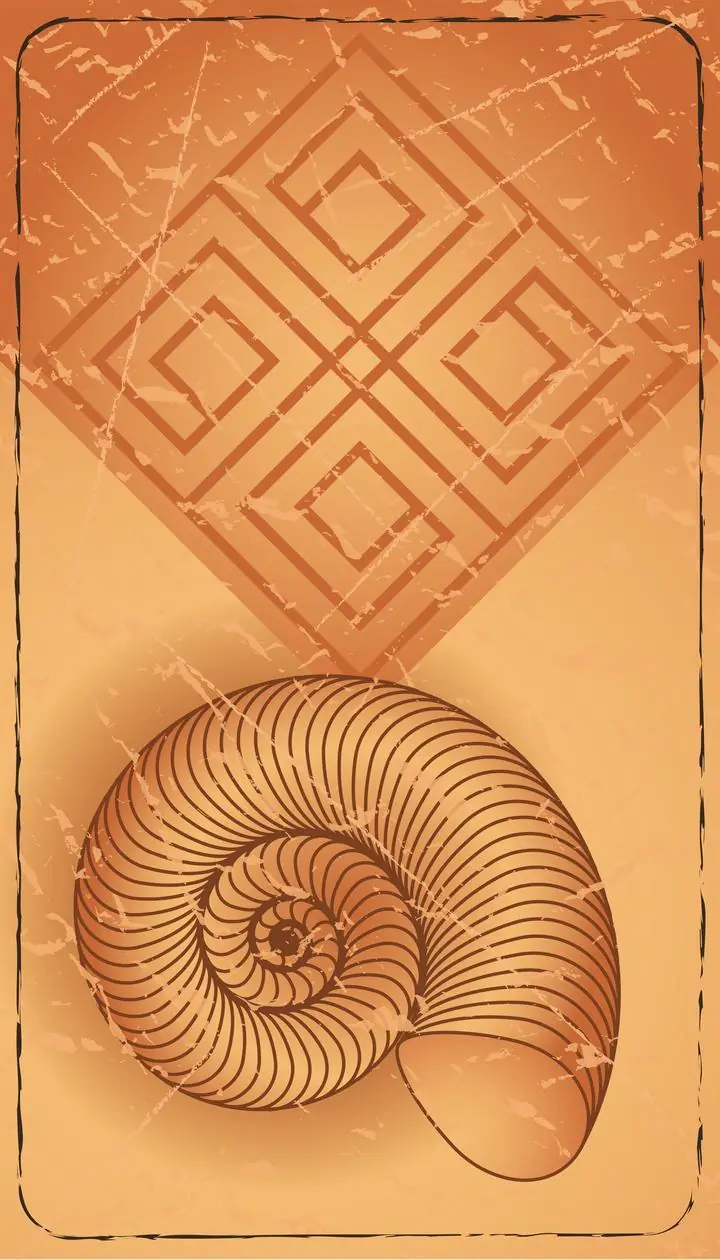 Brown Ammonite Shell, Wall Art, Decor Wall Art, Decor Wall Art E