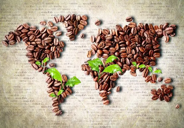 Brown Coffee Beans World