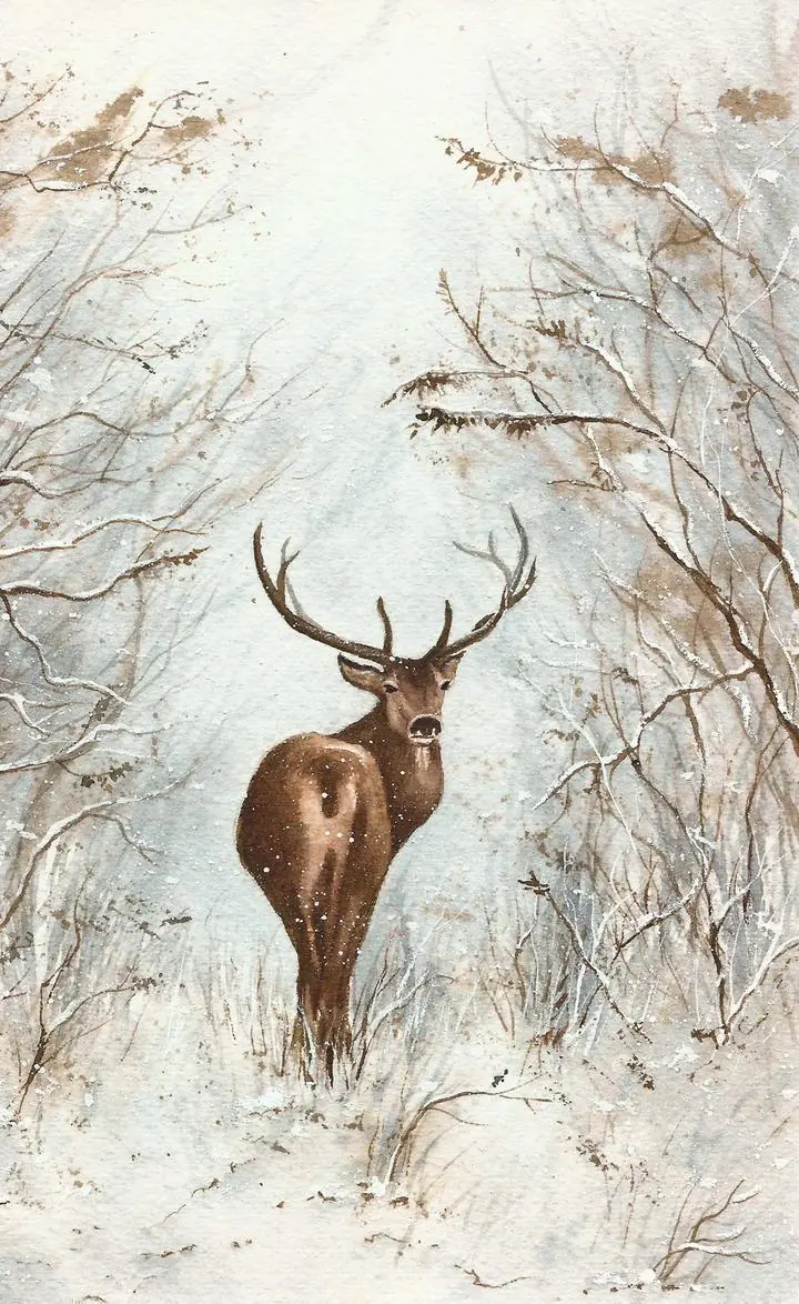 Brown Deer Standing 2, Wall Art, Decor Wall Art, Decor Wall Art G