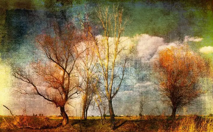 Brown Trees, Wall Art, Old Gold, Gold Landscape