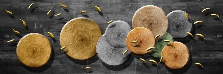 Brown Wooden Tree Slices, Wall Art, Old Gold, Gold Landscape
