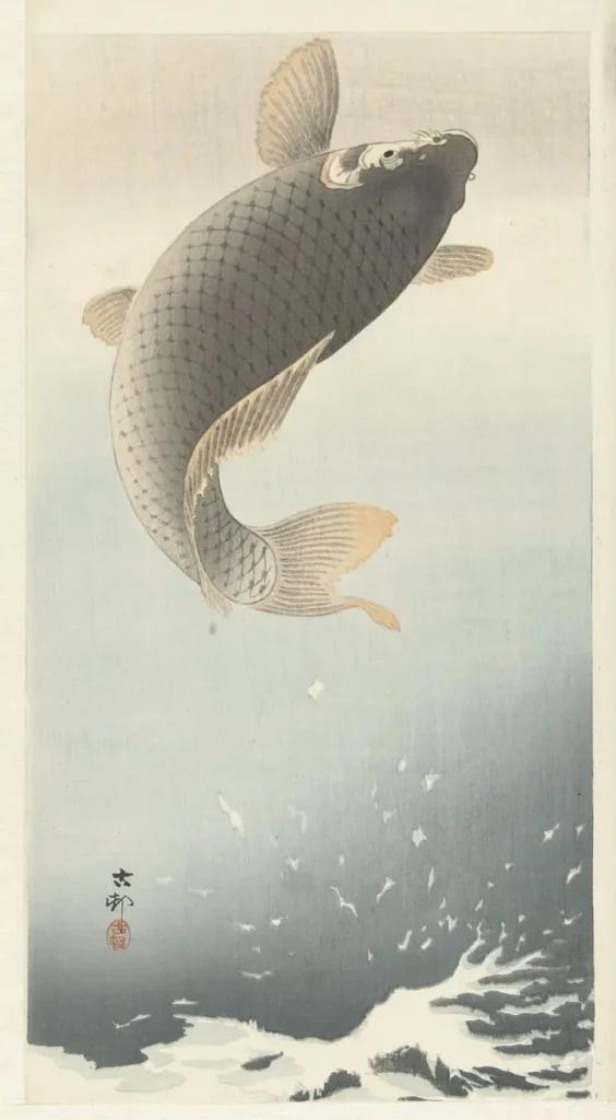 Carp (1900-1930)