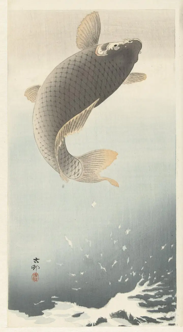 Carp (1900-1930), Paintings, Ohara Koson