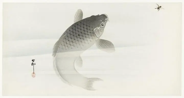 Carp and fly 1900-1930