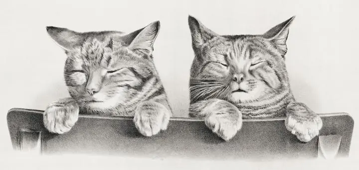 Cats By Thomas Hunter, Aesthetic Art, Animal & Birds, Animal & Birds B