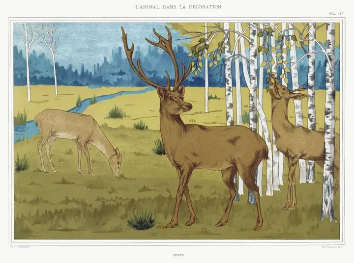 Cerfs From L'animal Dans La Decoration, Aesthetic Art, Animal & Birds, Animal & Birds B