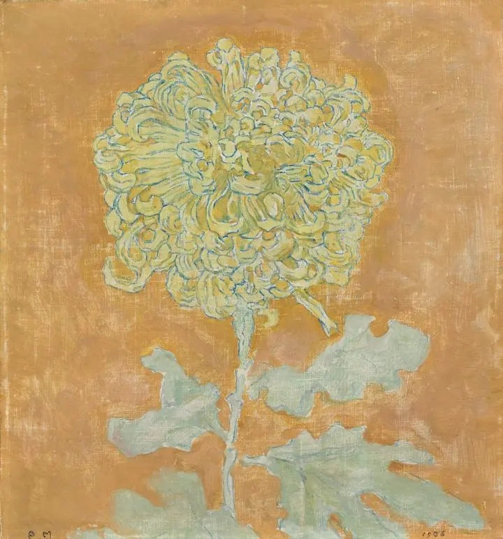 Chrysanthemum (1906-1942)