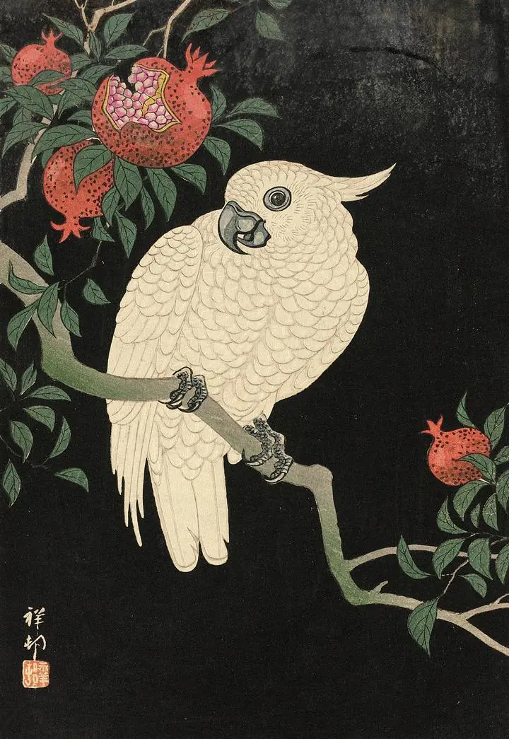 Cockatoo And Pomegranate (20TH Century), Paintings, Ohara Koson