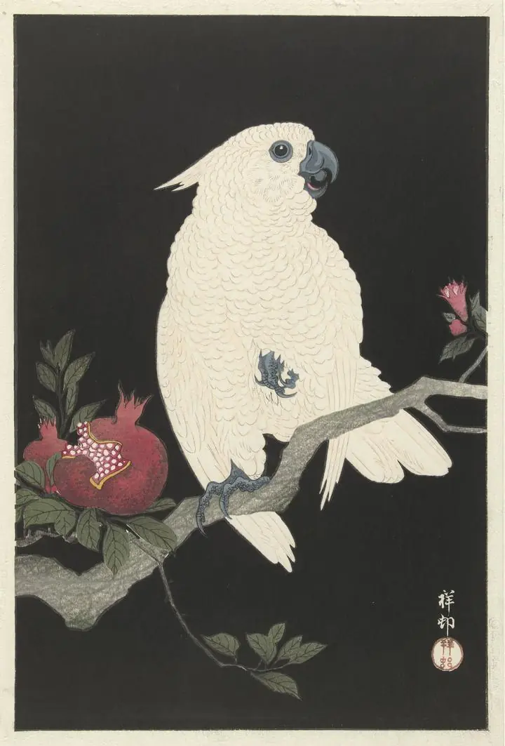 Cockatoo And Pomegranate (1925-1936), Paintings, Ohara Koson