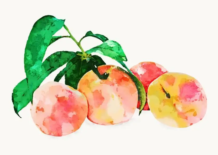 Colorful Peaches With Leaves, Aesthetic Art, Fruits
