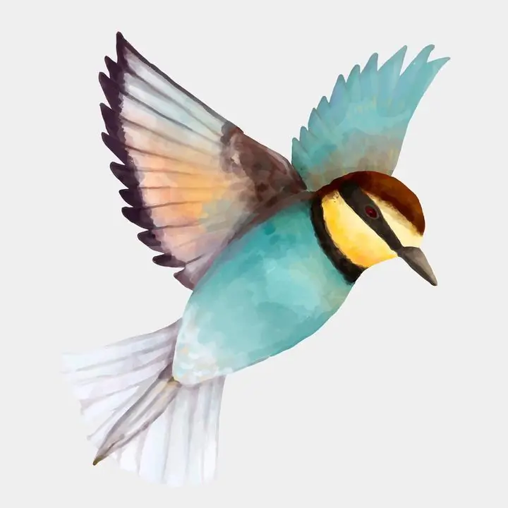 Colorful Blue Bird, Aesthetic Art, Animal & Birds, Animal & Birds B