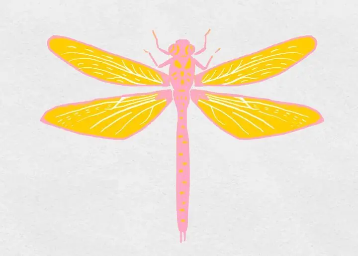 Colorful Dragonfly, Aesthetic Art, Animal & Birds, Animal & Birds B