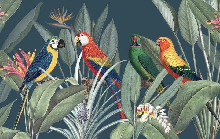 Colorful Macaws With Tropical, Aesthetic Art, Animal & Birds, Animal & Birds B