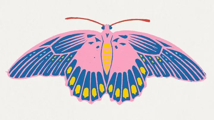 Colorful Moth, Aesthetic Art, Animal & Birds, Animal & Birds B