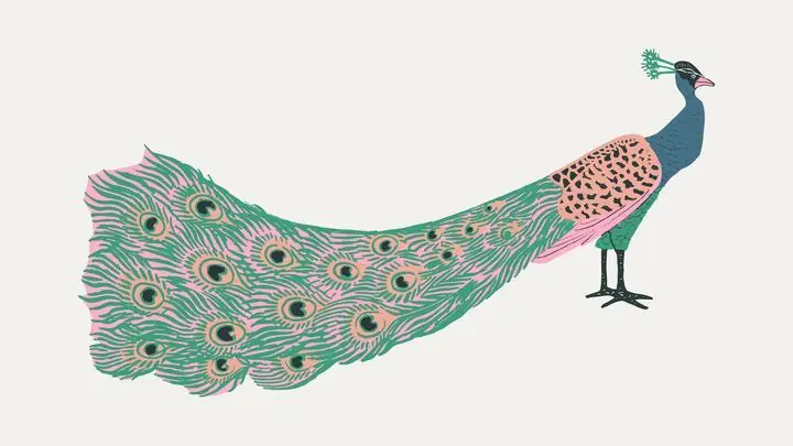 Colorful Peacock, Aesthetic Art, Animal & Birds, Animal & Birds B