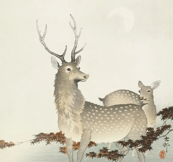 Couple of deers 1900-1930