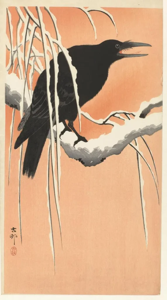 Crow on snowy branch (1900-1930)