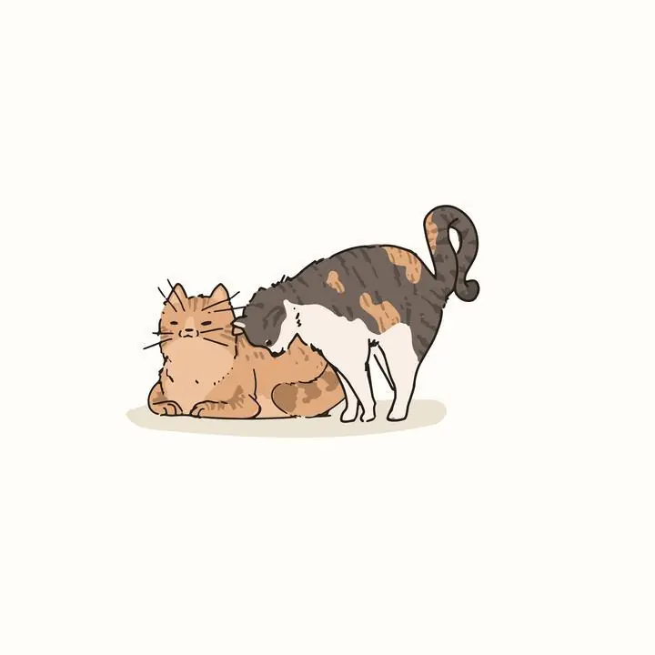 Domestic Shorthair Cats Doodle, Aesthetic Art, Animal & Birds, Animal & Birds B