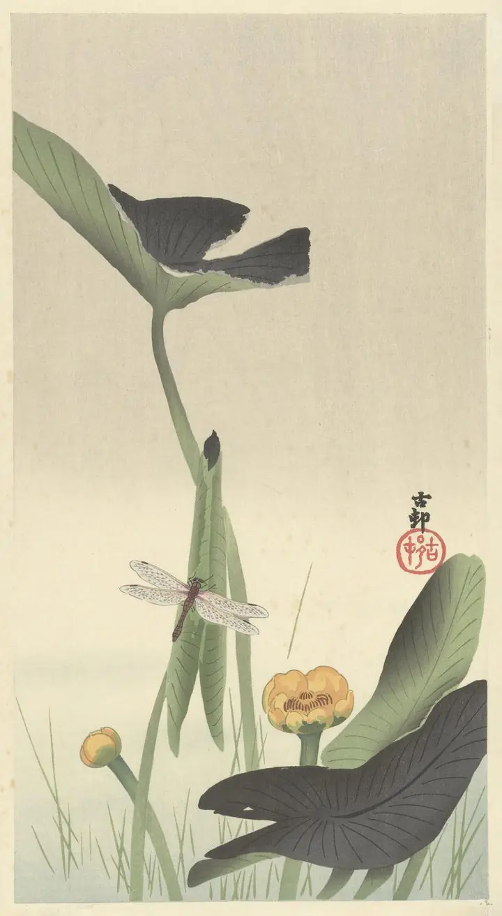 Dragonfly And Lotus (1900-1930), Paintings, Ohara Koson