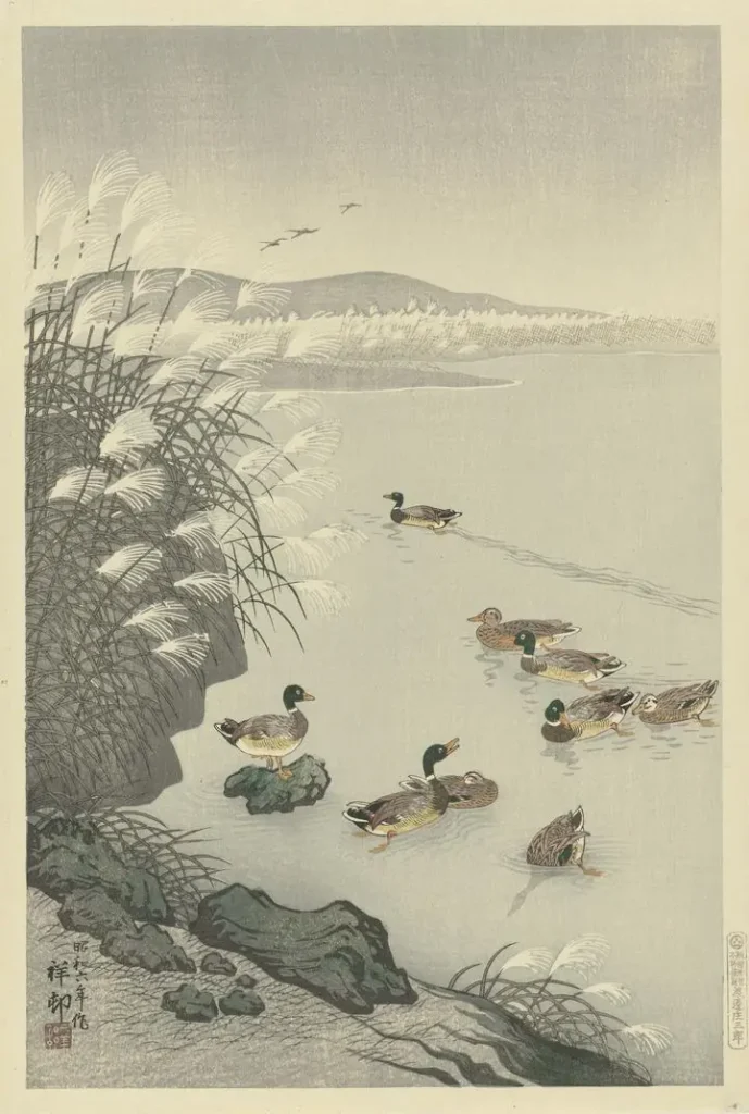 Ducks in the water (1900-1931)