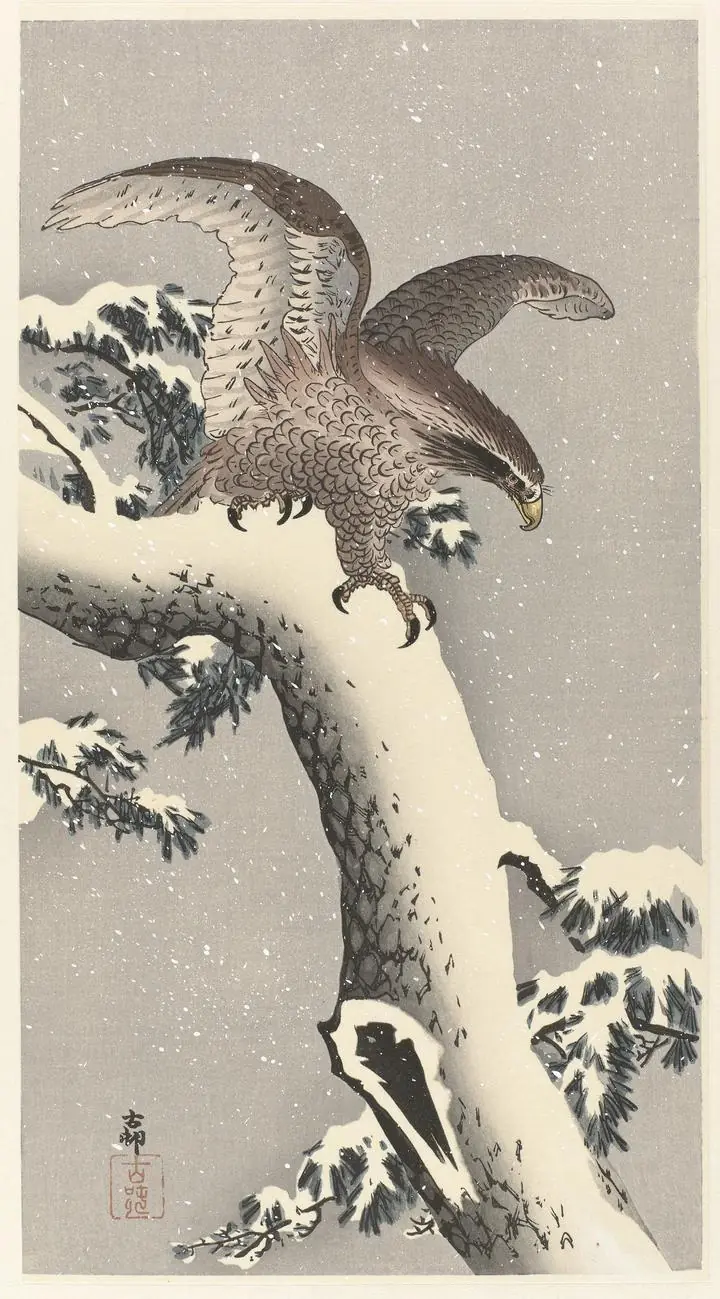 Eagle On Snowy Pine Tree (1887-1930), Paintings, Ohara Koson