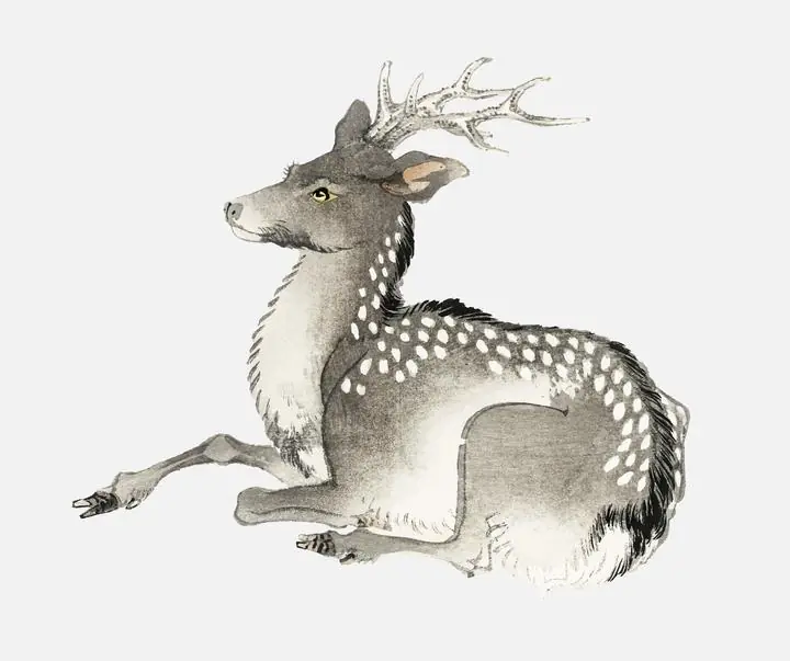 Elk By Kono Bairei 1844-1895, Aesthetic Art, Animal & Birds, Animal & Birds B