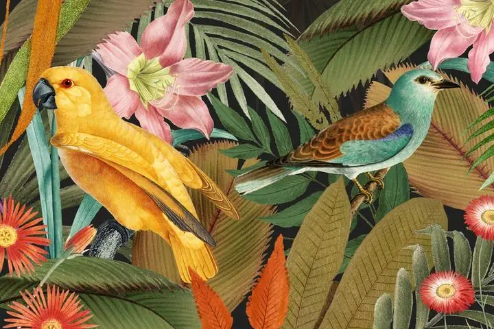 Exotic Birds, Aesthetic Art, Animal & Birds, Animal & Birds B