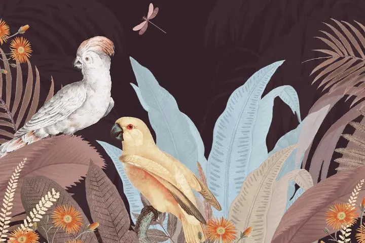 Exotic Jungle Bird, Aesthetic Art, Animal & Birds, Animal & Birds B