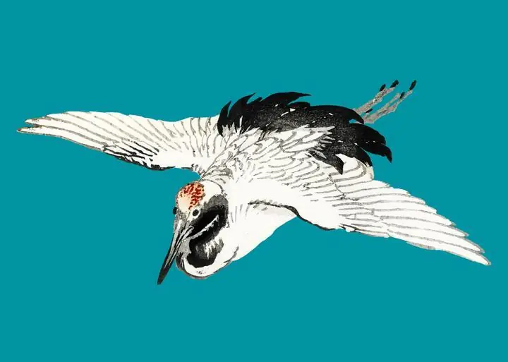 Flying Barn Swallow, Aesthetic Art, Animal & Birds, Animal & Birds B