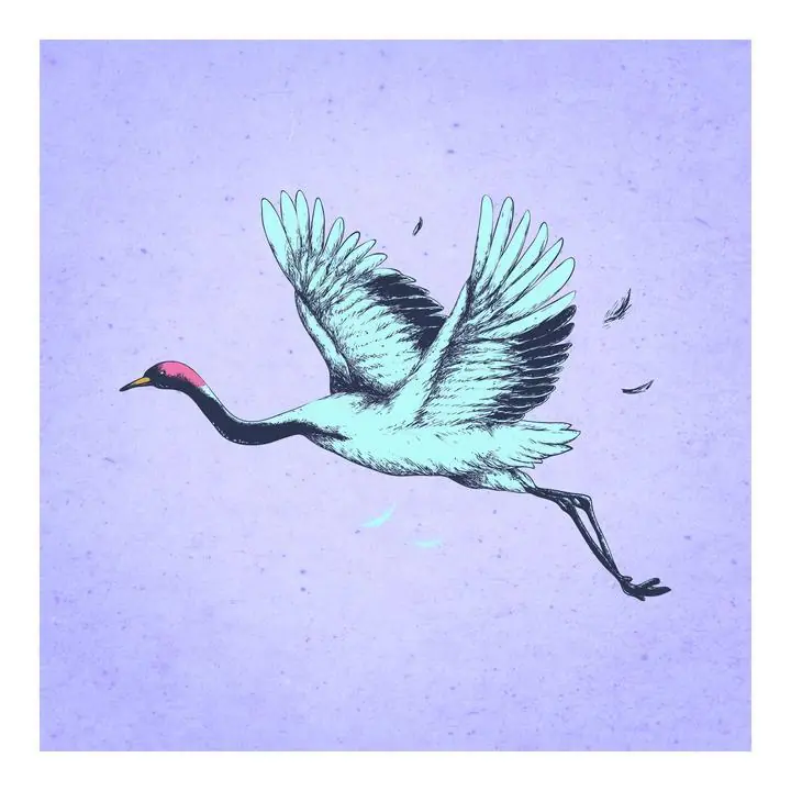 Flying Blue Crane, Aesthetic Art, Animal & Birds, Animal & Birds B